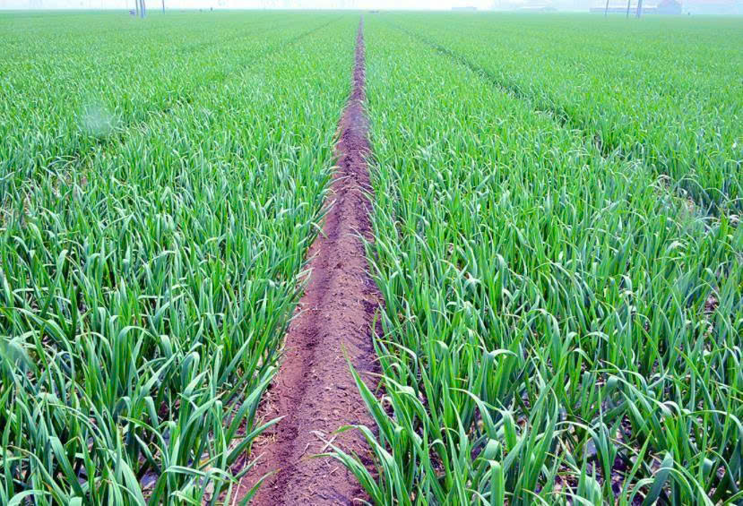 z6699909524490_af3352b4d6b62650a6023aff2ae70b46