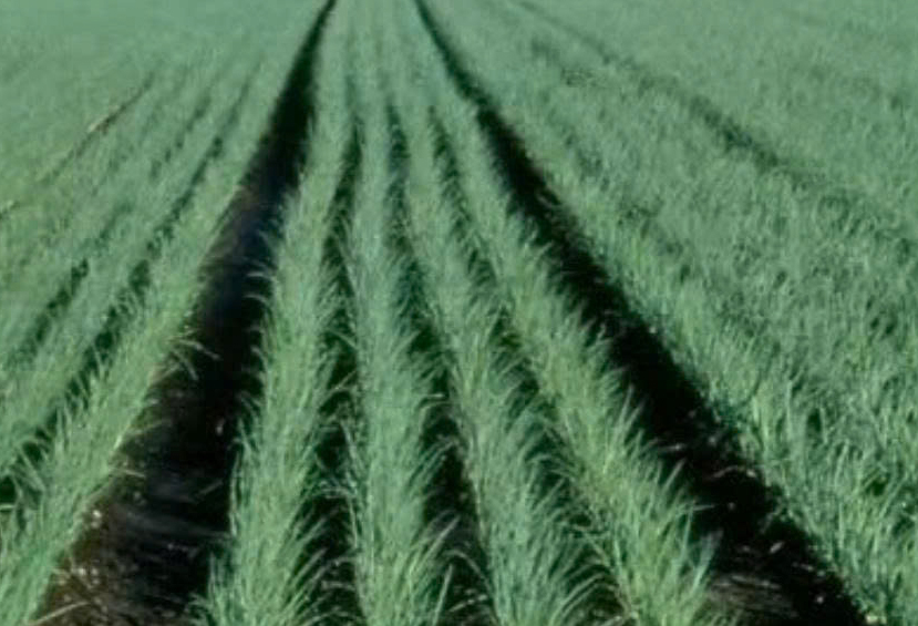 z6699909528890_09066791266f7b9b2e30f10ee7bfd83b