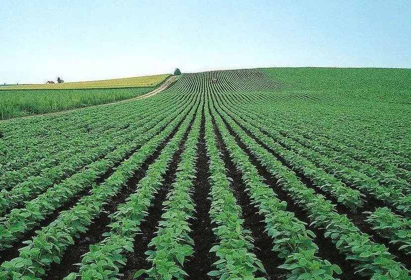 z6699909542113_493e34689be37fd3fecd4f892cd5919d