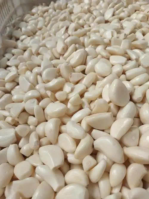 z6706599416511_ad46958133b1c06da35884558754ff67