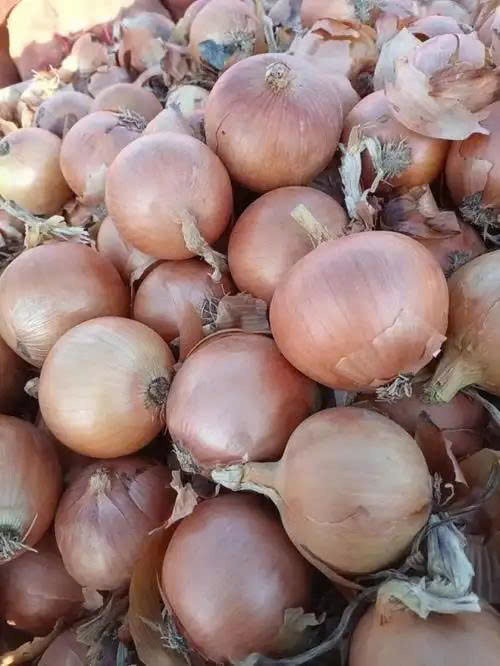 z6706601299953_18f329800c01427d924d49f058382ae4